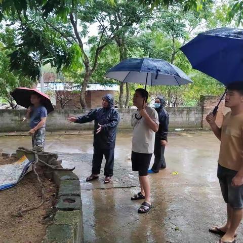 抗击台风“泰利”，我们在行动