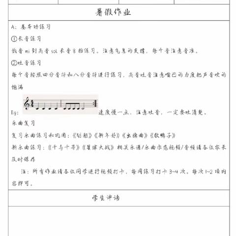 合肥市师范附小小学单簧管声部寒假作业