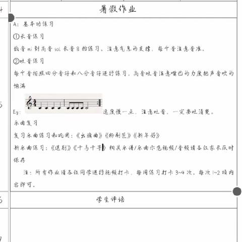 合肥市大通路小学单簧管声部寒假作业