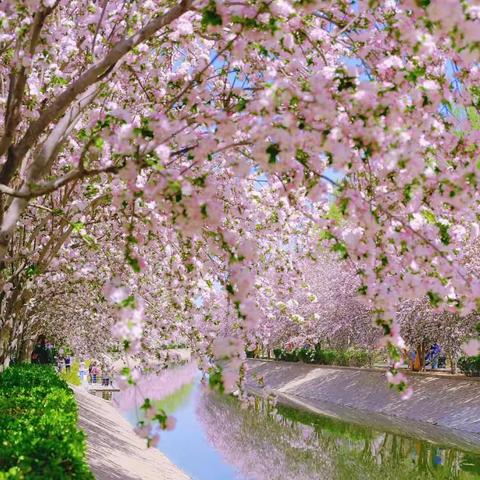 滨州市第一中学心理辅导报《启明星》第383期