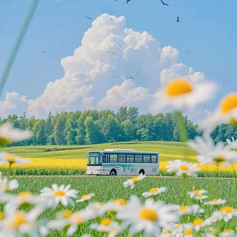 滨州市心理辅导报《启明星》第384期