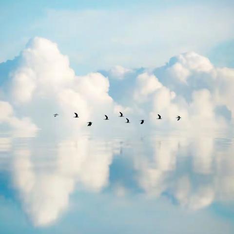 滨州市第一中学心理辅导报《启明星》第392期