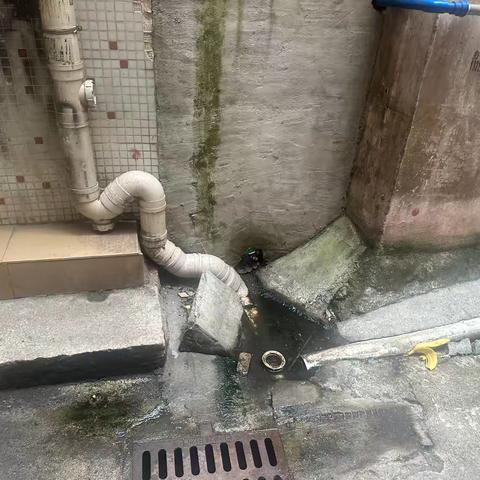 2024年11月4日金沙街河长办工作