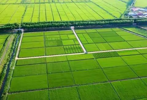 守牢耕地红线   筑牢安全底线