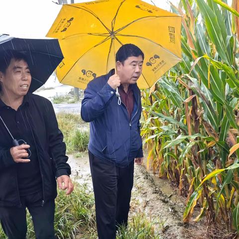 济南农技推广动态（2025年第40期）