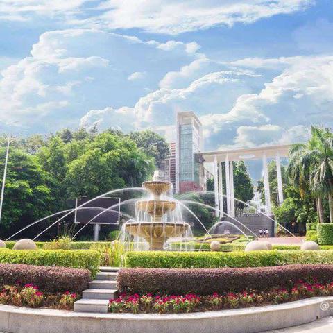 追逐时光 奔赴未来 ----2025年春中澳桃小Y3E班学期总结