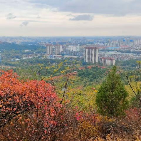 昌平北山红叶