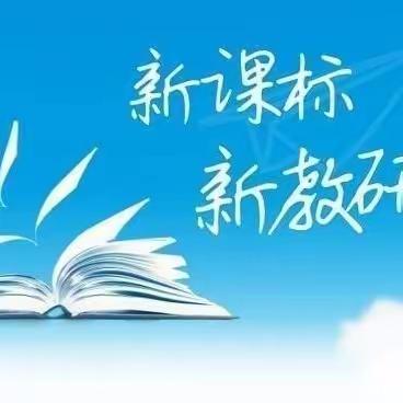 教研求实效，创新促发展                            ——东新小学数学教研会