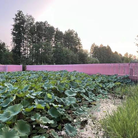 九月走园-无锡大溪港湖湾湿地公园