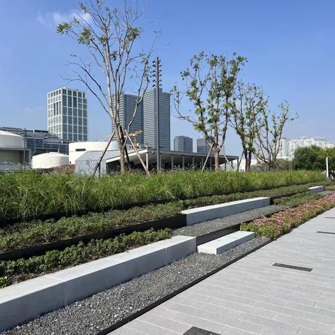 十一月走园—上海Gate M西岸梦中心