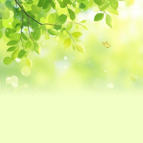 为“心”赋能 助力成长——2024年来宾市兴宾区初中教师心理健康教育培训活动