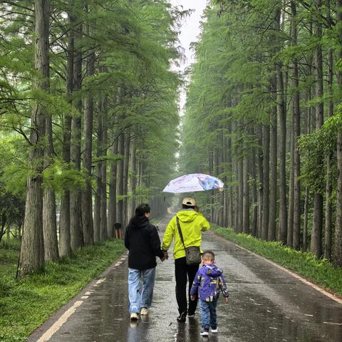 【AA约伴】独家线路：信阳山水、息州杉海景区、司马光故居、邓颖超祖居、红二十五军旧址、东岳村、龙山湖，全程无门票，纯玩2日游