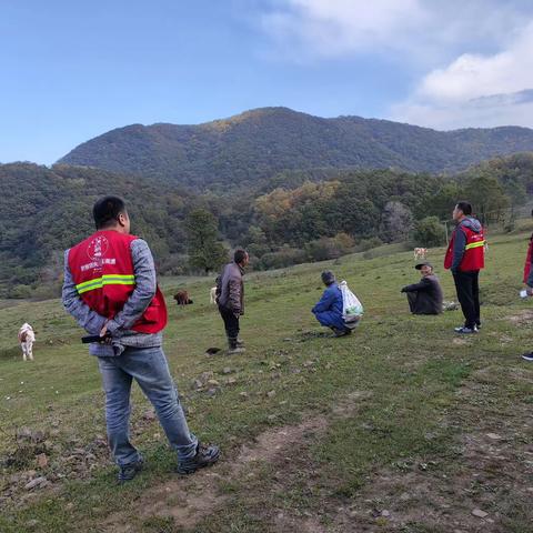 陇县国有龙门洞风景林场  加大封山禁牧力度  确保森林资源安全