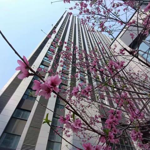 【中建锦绣广场二期】保洁部节前大扫除