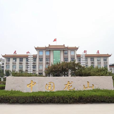 ★ 千年平陵 文化龙山 ★ 龙山街道|一周工作动态速览（1.5-1.11）