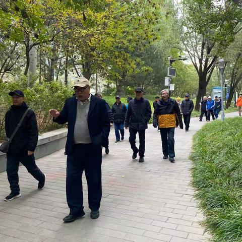 迈向健康，步履不停——牡丹园西里社区成功举办男性健康日健步走活动