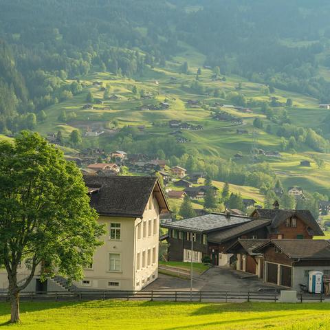 常见的网络诈骗，聚师网今天大揭秘