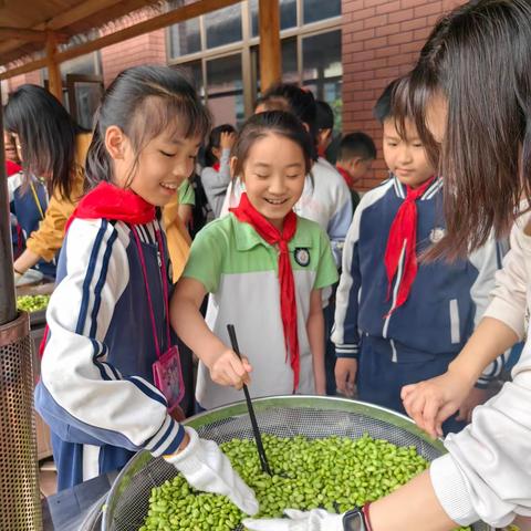 巧巧手 勤劳动——双林庆同小学开展校内劳动基地劳动实践活动