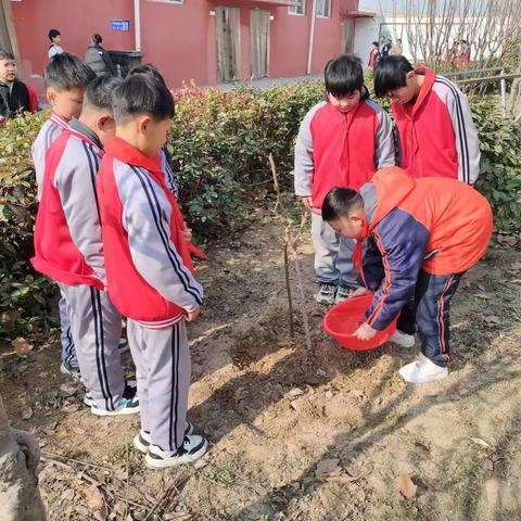 “建绿色校园，树绿色理想”----黄店镇徐庄小学