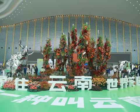 "象往云南·世界花园"，第二十一届中国昆明国际花卉展圆满举办！