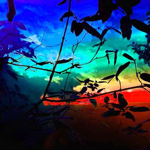 《流光溢影》    (上集）