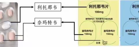 奈玛特韦/利托那韦片详细说明书