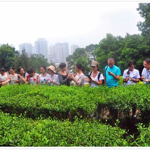 只做茶艺培训，天晟茶艺培训学校