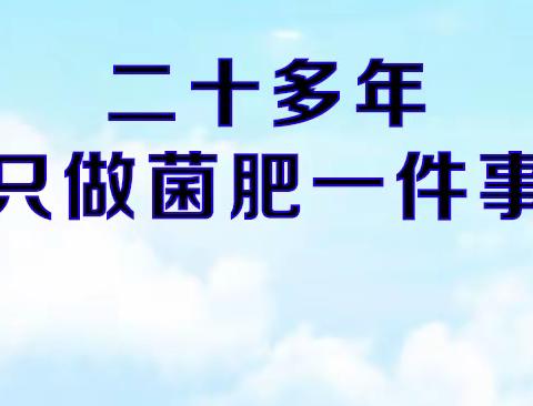 长吉岗东北农化服务万里行纪实