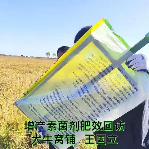 长吉岗东北农化服务万里行纪实