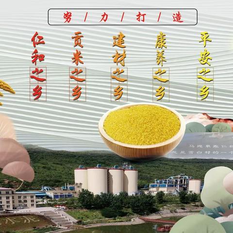 仁村乡：提站位、压责任、强担当，这项工作再部署！