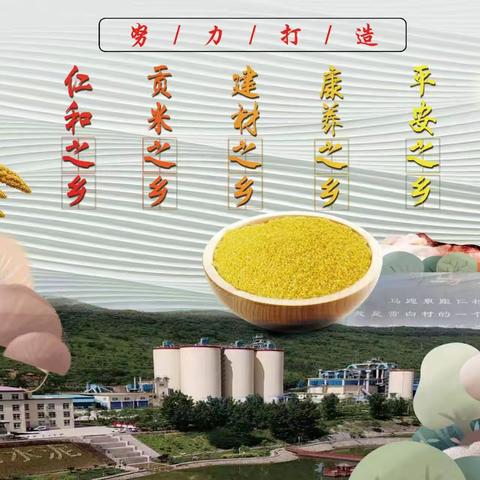 县政协委员到仁村乡调研人居环境整治工作