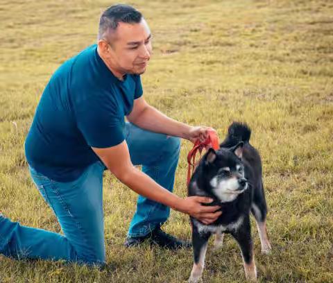 柴犬见到其他狗就打架？看见这些警号主人便要留意了