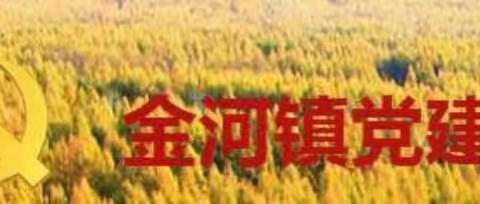 亮成绩 找差距 明思路——根河市金河镇党委召开2025年度党支部书记抓基层党建工作述职评议会