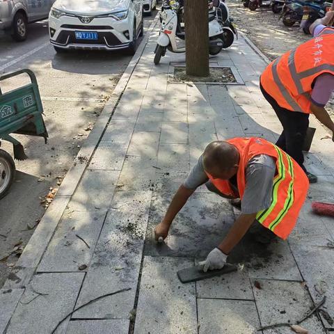 【开发区城市管理局市政工程所】 	“小修补”服务“大民生”——道路维修