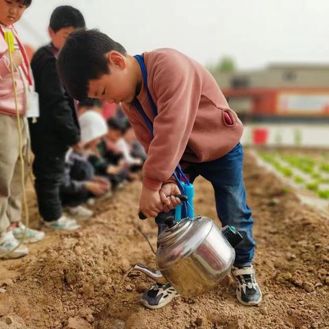 【经开区小西堡总校】多姿多彩小学校园——吴良寨小学