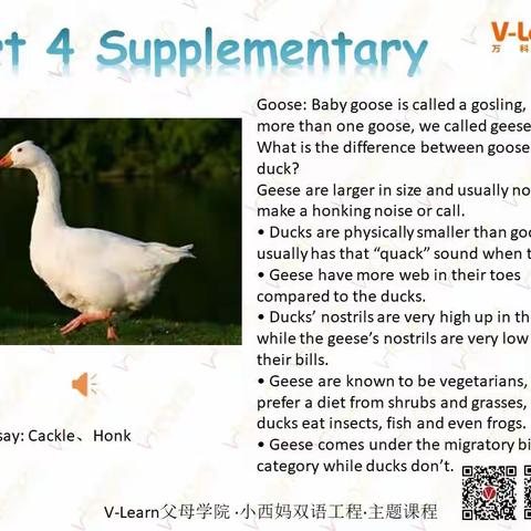 （1aU5 ）小西妈双语工程220506期39号George打卡第96-97天