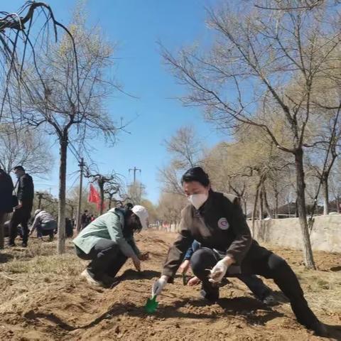 同心造林，共铸健康||社区医务志愿者体验不同的“植树”活动