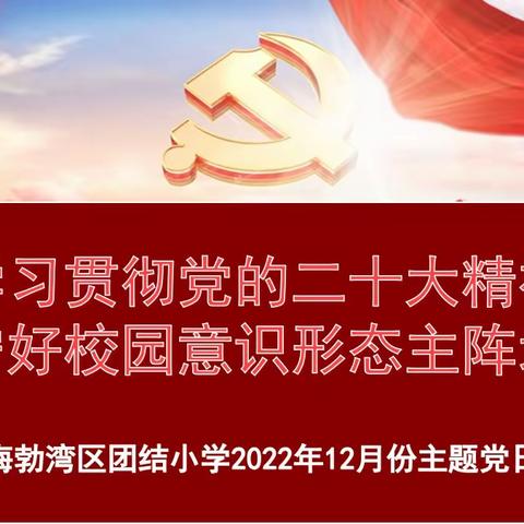 学习贯彻党的二十大精神 守好校园意识形态主阵地——团结小学12月份主题党日活动