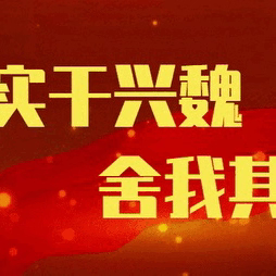 雪落东代固，扫雪暖民心｜全镇同心筑牢出行安全线