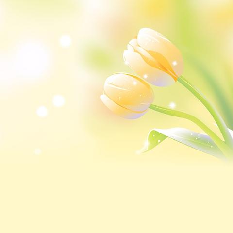 11月27 日，在下坎社区滨江公馆，海新街头夸夸队邀您解锁新体验！