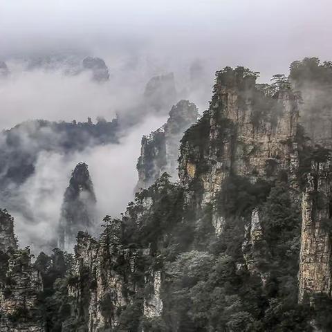 水墨丹青武陵源