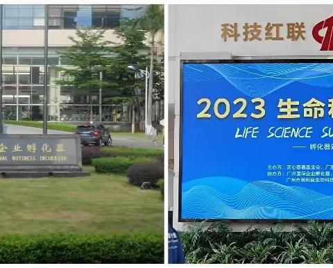 感受生命科学，领略医学魅力（二）