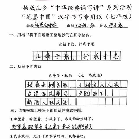 杨成庄乡中小学“中华经典诵写讲”系列活动—“笔墨中国”汉字书写投票环节