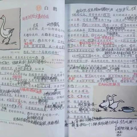 春暖花开日，少年逐梦时——四四班最美笔记评选