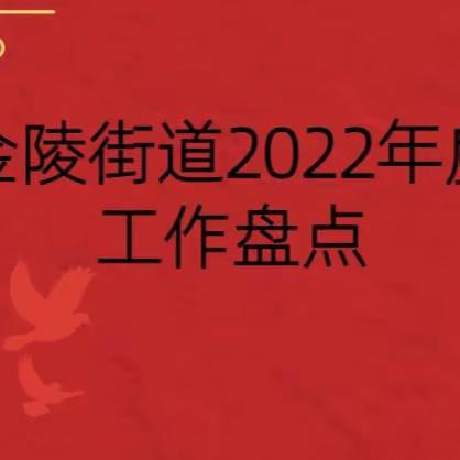 金陵街道2022年工作盘点