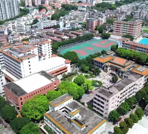 现场超燃！新会一中教育集团“大中小科学教育一体化”展示活动精彩回顾