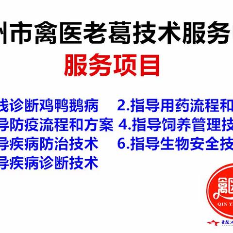 禽医老葛讲：雏鹅早期痛风病的原因探究与防控措施