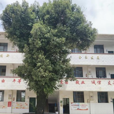 楚雄市中山镇六街民族小学2023“庆元旦，迎新年”系列活动