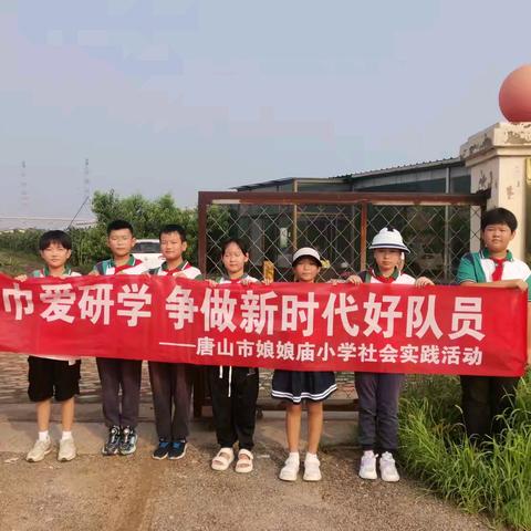 走进果蔬基地，探秘科技种植——记娘娘庙小学四（1）中队研学