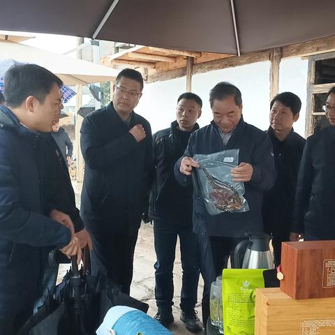 驻城口县咸宜镇明月村工作情况（3月）